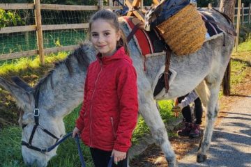 Enfant avec un âne lors d'une activité de médiation animale An'ymots d'Élix à Saint-Élix-le-Château